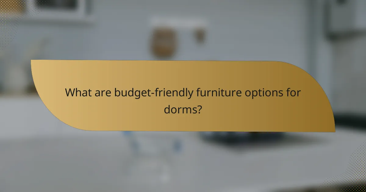 What are budget-friendly furniture options for dorms?