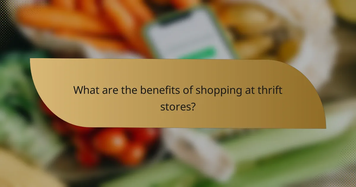 What are the benefits of shopping at thrift stores?