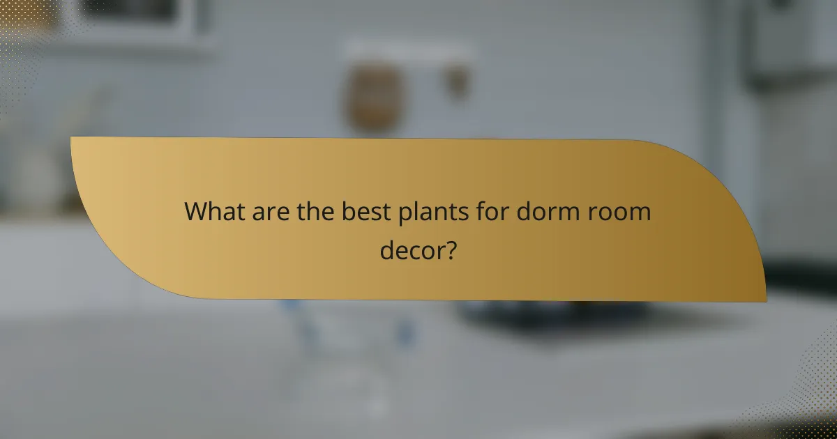 What are the best plants for dorm room decor?