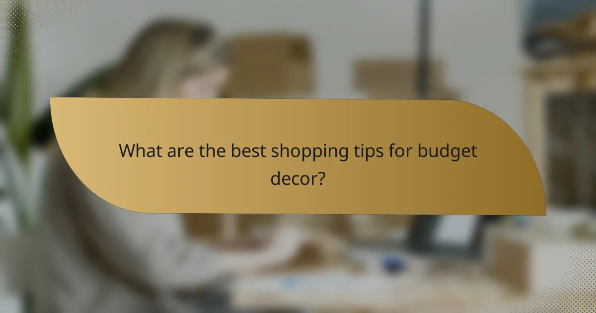 What are the best shopping tips for budget decor?